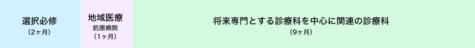 2年目