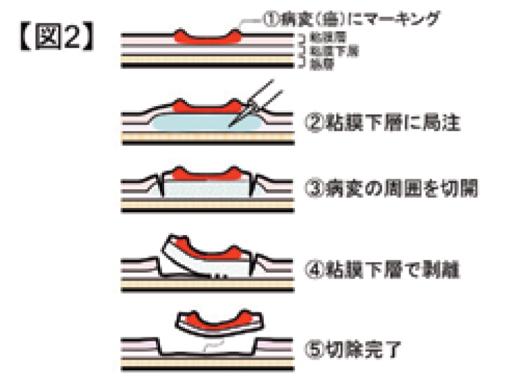 okayama39_2