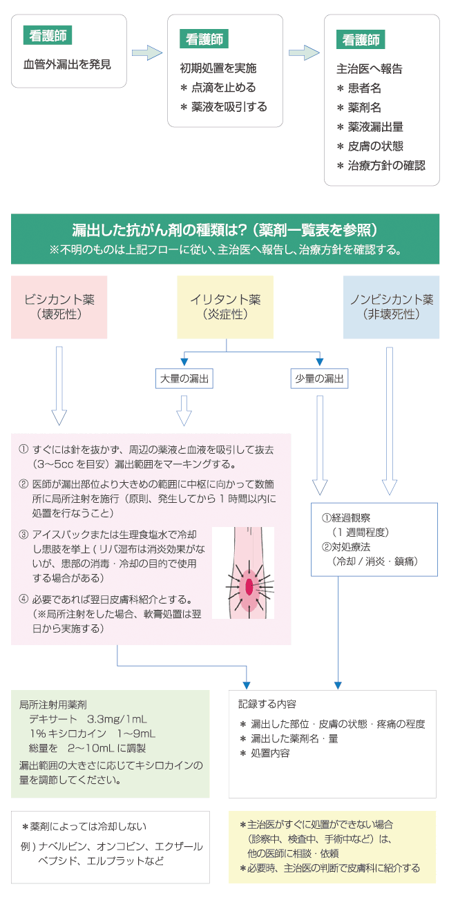 kitokito